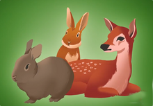 Load image into Gallery viewer, zoom product
